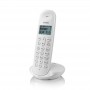 BRONDI TELEF CORDLESS LOTUS BIANCO BIG DISPLAY, 50MEM, SVEGLIA, ID CHIAMATE, FINO 5 PORTATILI